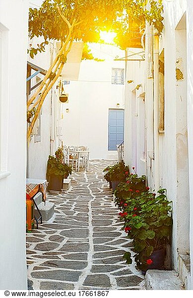 Picturesque narrow street with traditional whitewashed houses with blooming Geranium flowers of Naousa town in famous tourist attraction Paros island  Greece
