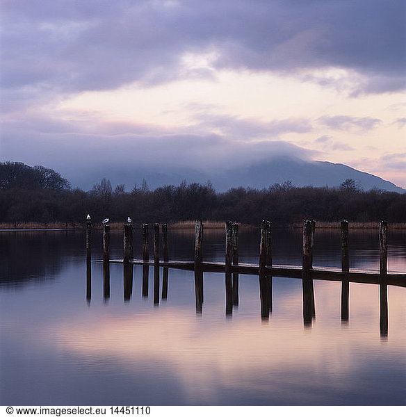 Pier Pilings  Cumbria  England