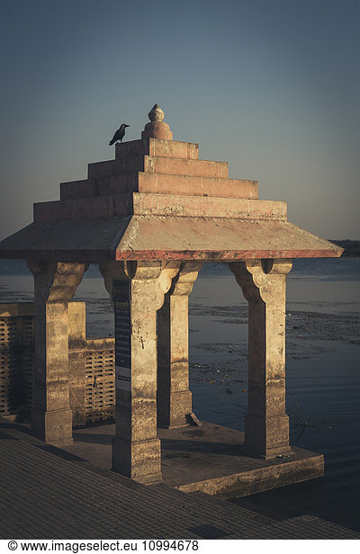 Pigeons Perched on Roof of Hindu Burning Ghat  Somnath Temple  Triveni Mahasangam  Veraval  Gujarat  India