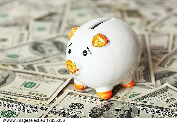 Piggy bank on dollars background