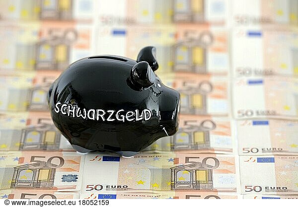 Piggy bank with inscription black money on 50-euro banknotes  white-collar crime  crime