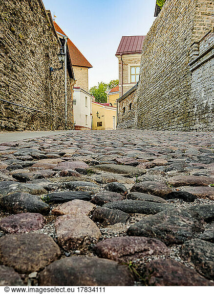 Pikk jalg street  low angle view  Old Town  Tallinn  Estonia  Europe