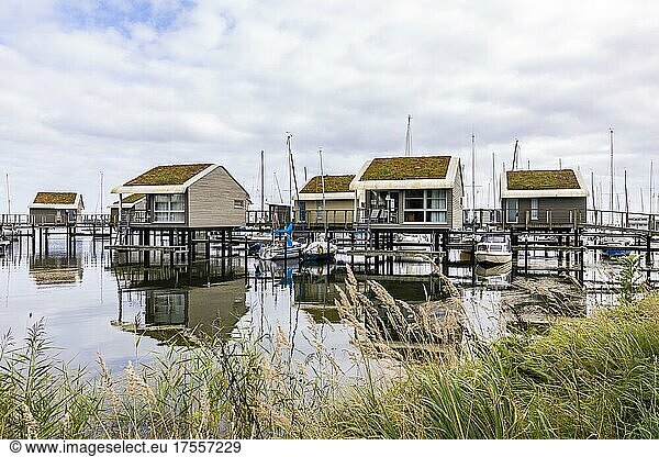 Pile dwellings as holiday homes with boat mooring  Tiny House  marina  Lauterbach  Rügen Island  Mecklenburg-Western Pomerania  Germany  Europe