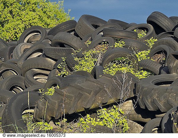 Pile of old tires at junkyard. Perafita village countryside. Llu?an?s region  Barcelona province  Catalonia  Spain.