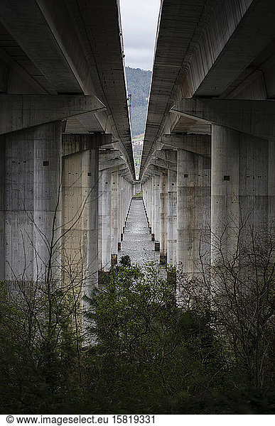 Pillars of a highway bridge in abandoned environment