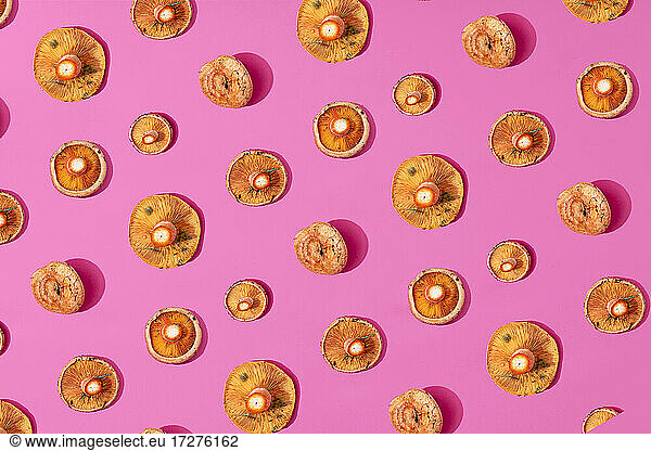 Pilze angeordnet auf rosa Hintergrund