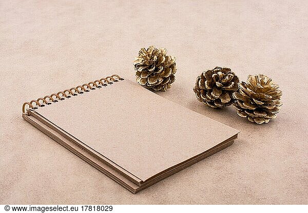 Pine cones and a notebook on a brown background