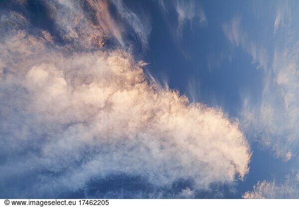 Pink coloured cirrus clouds form a spectacular cloud formation in the blue sky during a Föhn storm and sunrise