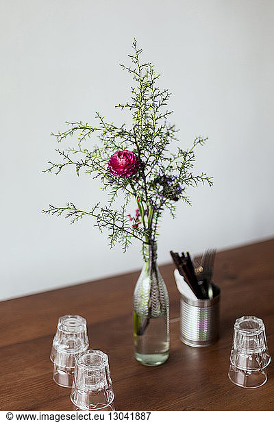 Pink flower by drinking glasses on wooden table against wall
