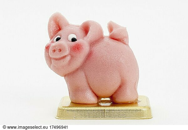 Pink marzipan pig  lucky charm for the New Year