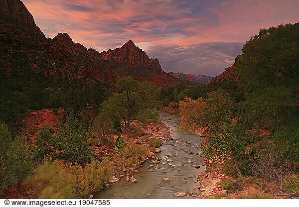 Pink morning sunrise over the Virgin River in Zion National Park in southern Utah in the fall of 2010.