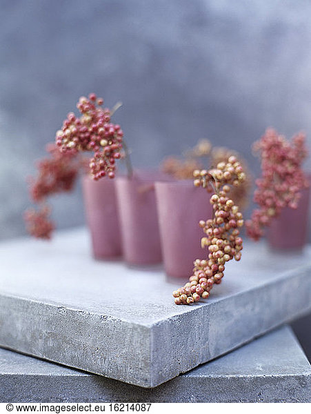 Pink pepper panicles in vase