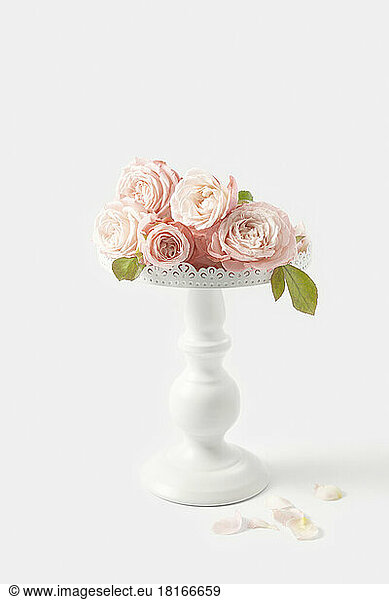 Pink roses on decorative pedestal cakestand against white background