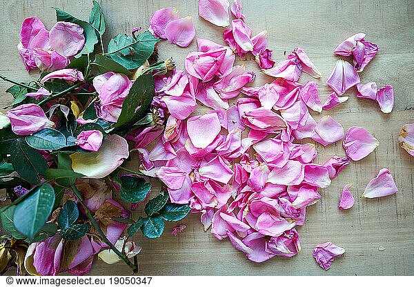 Pink roses without petals on a wooden table