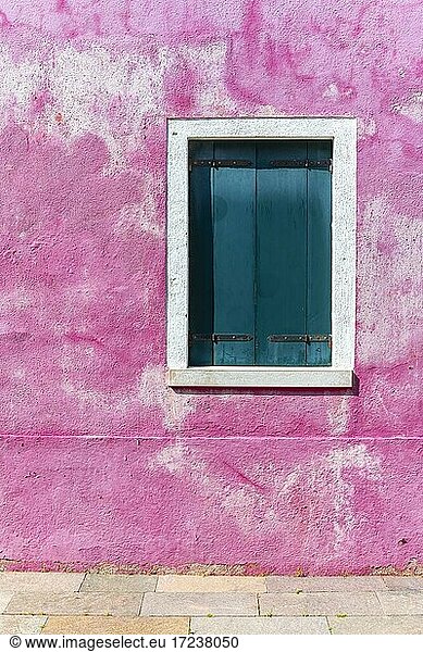Pink wall with window  colorful house wall  closed shutters  morbid  colorful facade  Burano Island  Venice  Veneto  Italy  Europe