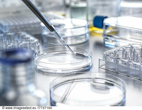 Pipette transferring solution into petri dish in laboratory
