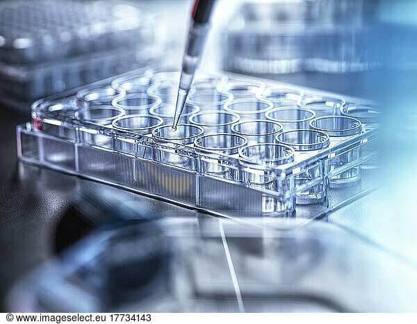 Pipetting sample in tubules at laboratory
