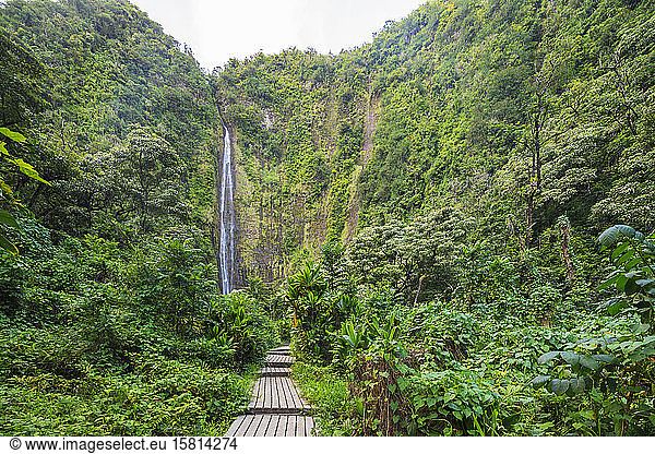 Pipiwai trail  Waimoku falls  Haleakala National Park  Maui Island  Hawaii  United States of America  North America
