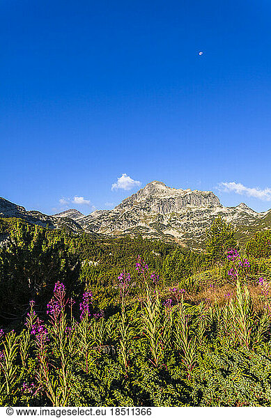 Pirin Mountains