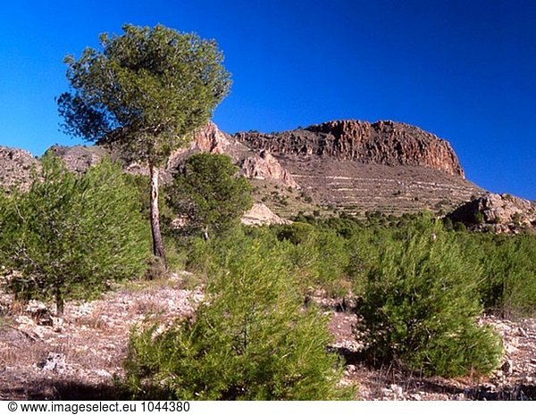 Pitón Volcánico de Cancarix Naturdenkmal. Provinz Albacete. Spanien