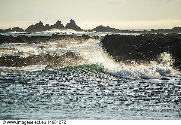 Plätschernde Wellen in Ufernähe und schroffe Felsen an der Südküste  Houghton Bay; Wellington  Neuseeland