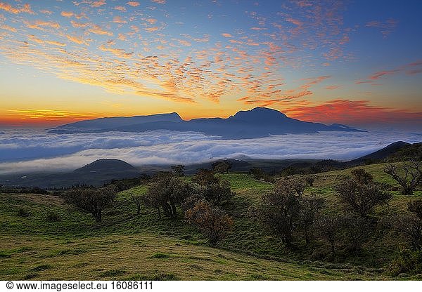 Plaine des Cafres and Piton des Neiges from the volcano road at sunset  Reunion Island