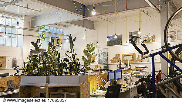 Plants and hanging bicycle in open plan office