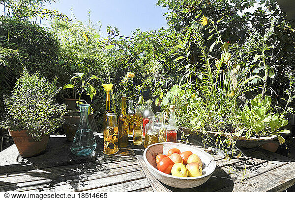 Plants  fruits and bottles with herbal infusions standing on garden table
