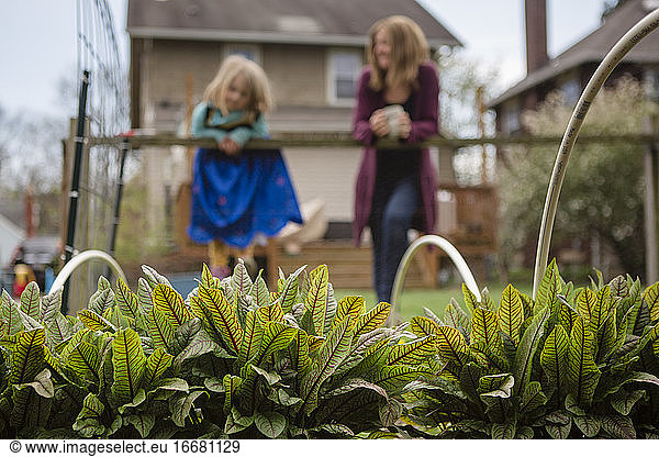 Plants grow in raised garden beds with mother and daughter in back
