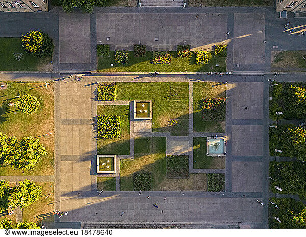 Plants growing in abstract park on sunny day  Stuttgart  Germany