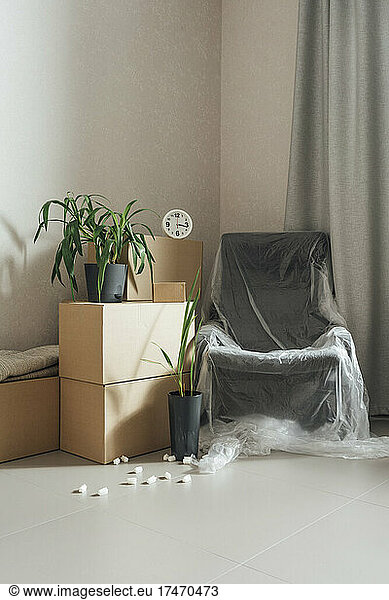 Plastic covered armchair by cartons in new apartment