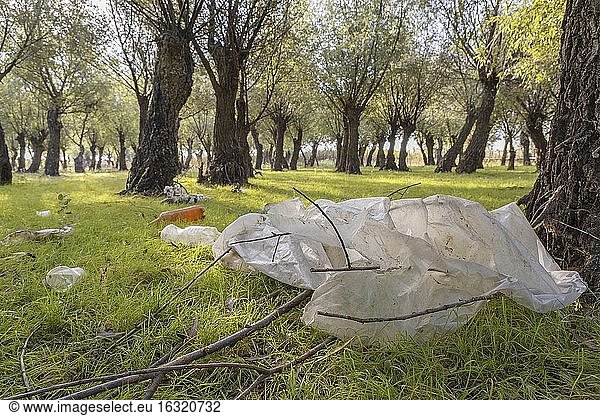 Plastik- und anderer Müll  der von Touristen weggeworfen wird  verschmutzt die Parks. Problem der Umweltverschmutzung durch Plastikmüll. Kartal Eco Park  Dorf Orlovka  Reni raion  Odessa oblast  Ukraine  Osteuropa.