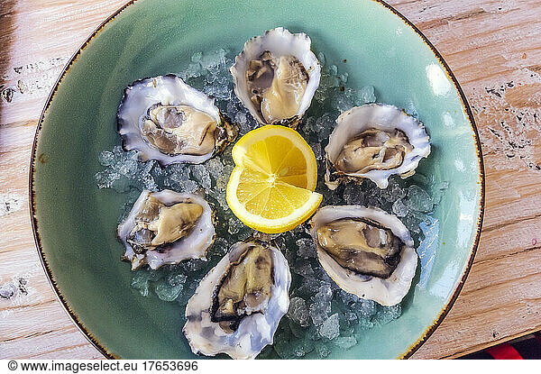 Plate of fresh ready-to-eat oysters