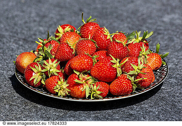 Plate of freshly picked strawberries
