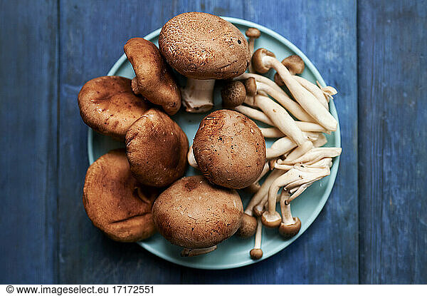 Plate with brown edible mushrooms