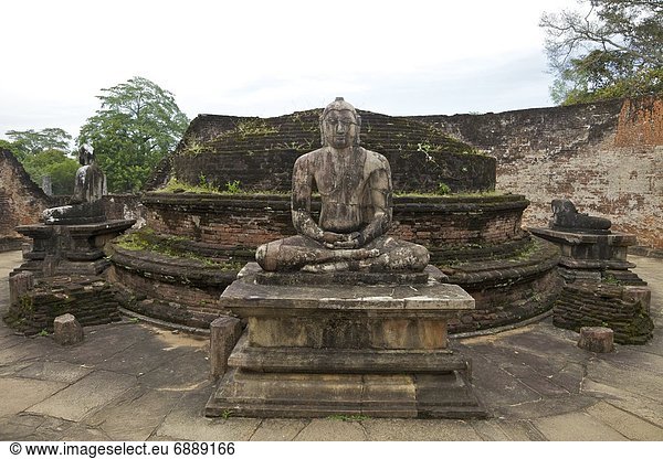 Plattform  Statue  1  UNESCO-Welterbe  Asien  Buddha  Polonnaruwa  Sri Lanka