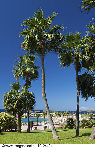 Playa Amadores in Puerto Rico Gran Canaria Kanarische Inseln Spanien Europa