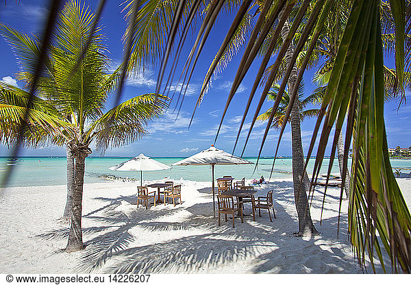 Playa Norte  Isla Mujeres  Quintana Roo  Yucatan  Mexico  America