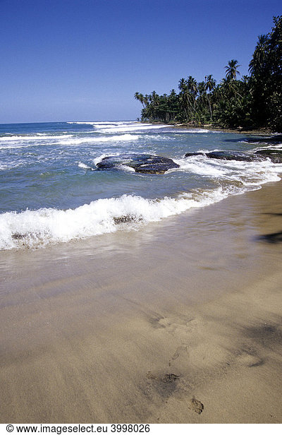 Playa Uva  tropischer Strand mit Palmen bei Puerto Viejo de Talamanca  Nationalpark  Refugio Nacional de Vida Silvestre Gandoca Manzanillo an der karibischen Küste  Karibik  Costa Rica  Mittelamerika