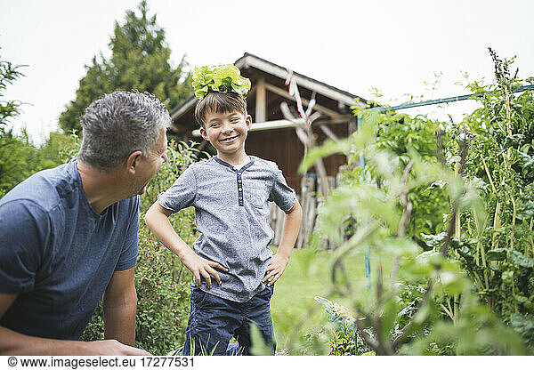 Playful boy with plant on head looking at father in garden