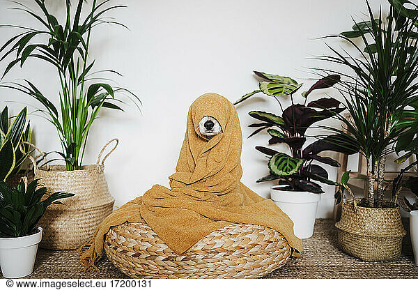 Playful dog wrapped in blanket sitting on ottoman stool by houseplant at home