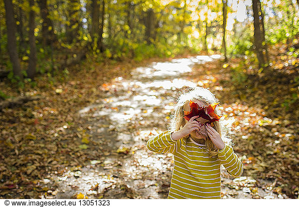 Playful girl hiding face with maple leaves while standing in forest