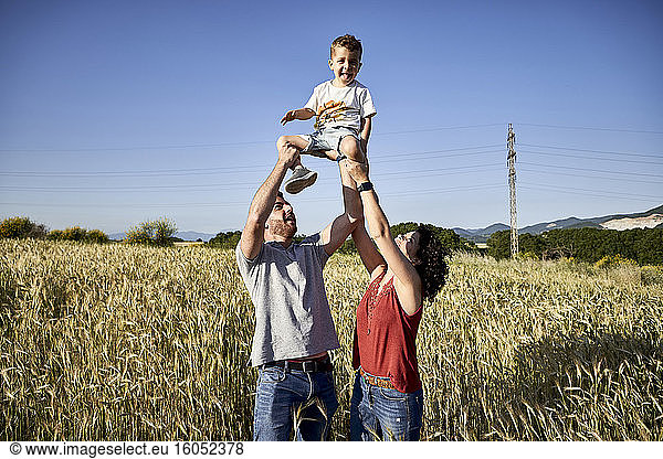 Playful parents picking up son while standing amidst crops against clear blue sky