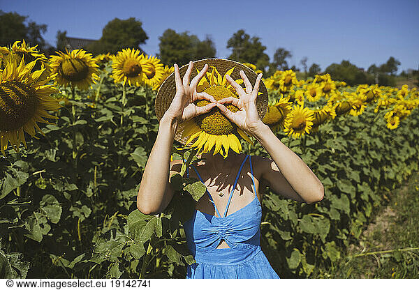Playful woman covering face with sunflower in field