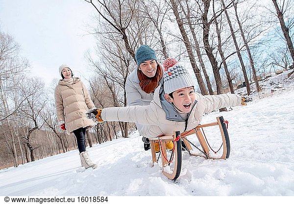 Playing in the snow sled family