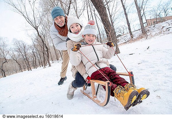 Playing in the snow sled family