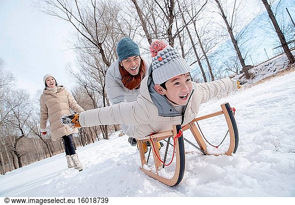 Playing in the snow sled family