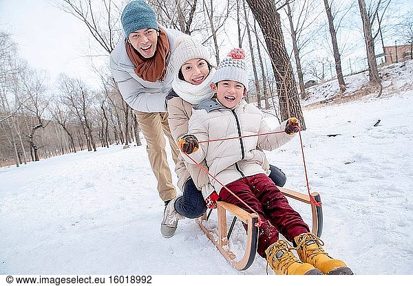 Playing in the snow sled family