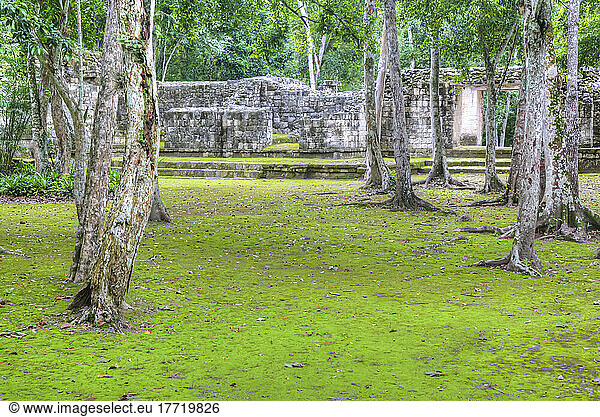 Plaza B  Struktur IV-B (Hintergrund)  Archäologische Zone Balamku  Maya-Ruinen  Staat Campeche  Mexiko; Balamku  Staat Campeche  Mexiko