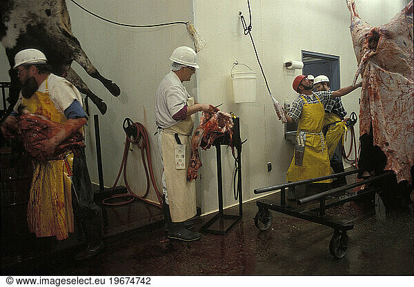 Pleasant Meats: meat processing in southeast Ohio